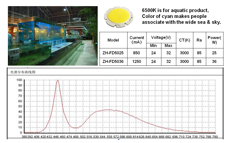 Evercore f50 cob led modules, led 6500K