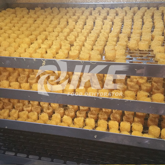 IKE-Looking For Lemon Drying Machine, Commercial Fruit Dehydrator