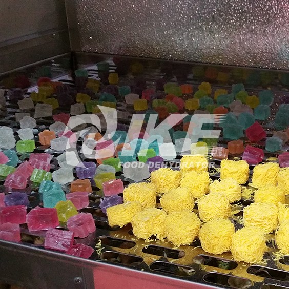 IKE-Looking For Lemon Drying Machine, Commercial Fruit Dehydrator-1