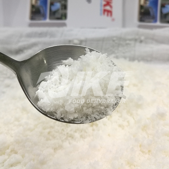 IKE-Desiccated Coconut Drying Machine, Vegetable Drying Equipment From IKE