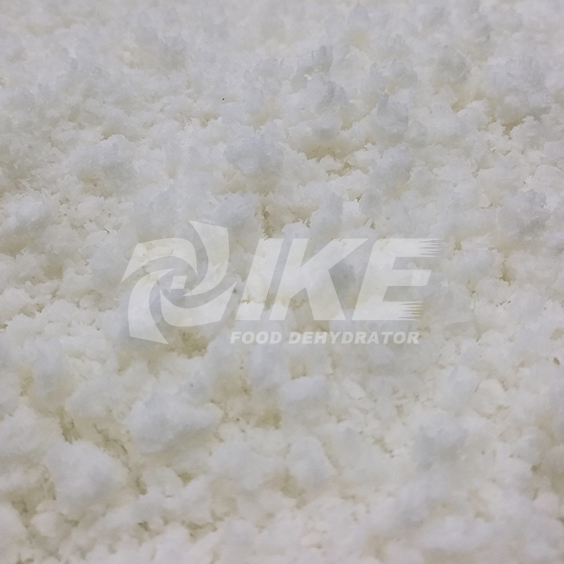 IKE-Desiccated Coconut Drying Machine, Vegetable Drying Equipment From IKE-1