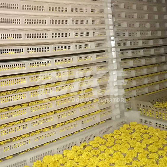 IKE-Looking For Lemon Drying Machine, Commercial Fruit Dehydrator