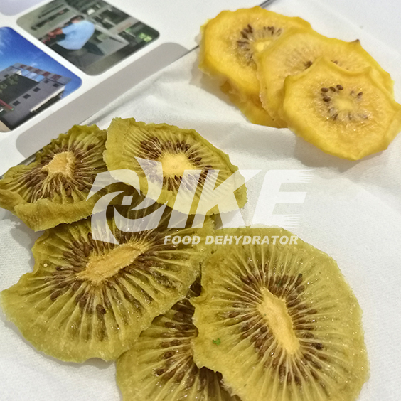 IKE-Looking For Lemon Drying Machine, Commercial Fruit Dehydrator-1 IKE-Looking For Lemon Drying Machine, Commercial Fruit Dehydrator-1