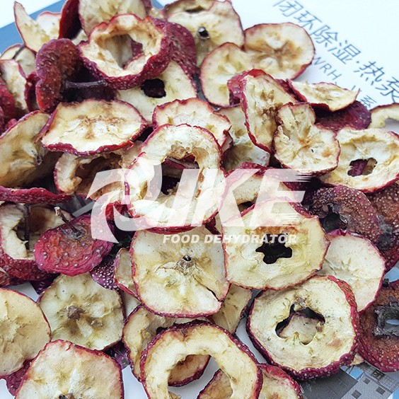 IKE-Maybush Drying Machine | Details From Ike Food Dehydrator-1