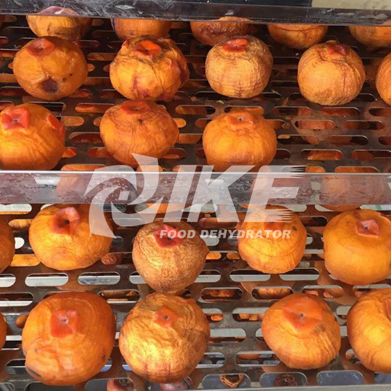 IKE-Vegetable Drying Equipment-choy Sum Drying Machine-1