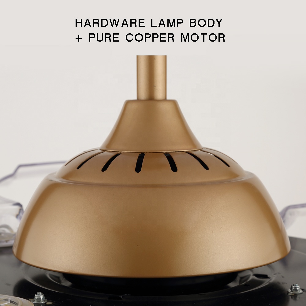 2019 Lowes Orient Invisible Fancy Plastic Hidden Blade CeilingFan Lamp Remote Control With Lights Sale Fan Ceiling Modern Price