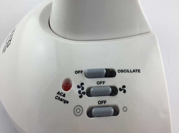 Family Rechargeable Battery Pedestal Fan