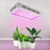 All light spectrum led grow light led plant light led gardens outdoor led  lights Industrial lighting