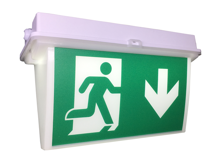 Best Quality Self Test Emergency Self-luminous Exit Sign