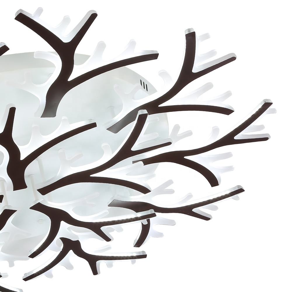 Hot New Products Hall Ceiling Light Ceiling Mounted Lled Light Fixtures Pir Ceiling Light Mounting Bracket For Bedroom