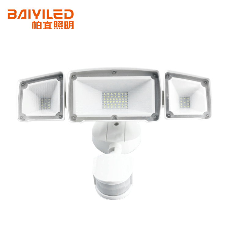Colored Ir Pccooler 12V Led Flood Light