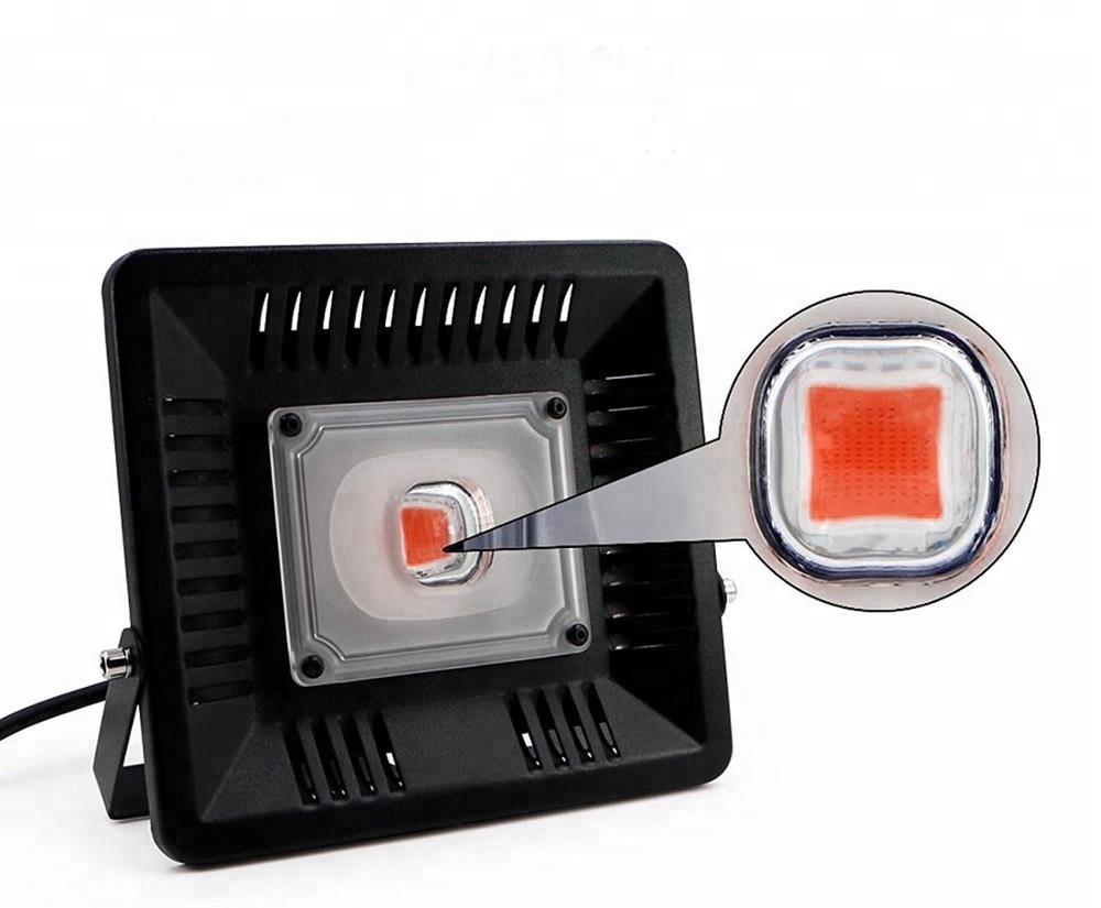 100W full spectrum cob LED grow lights for Greenhouse Hydroponic