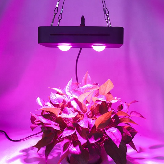 indoor greenhouse COB LED grow light ,IP44 LED grow light ,100W Plant grow lamp for tent