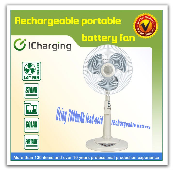 Family Electric and Battery Operated Standing Fan