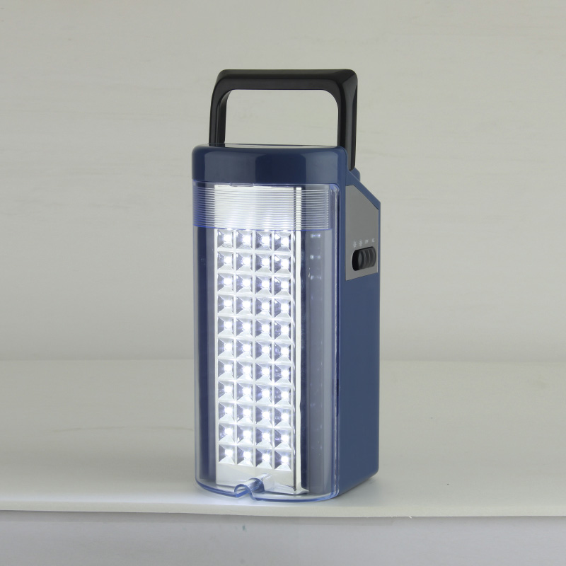 Portable cordless rechargeable growing led lights