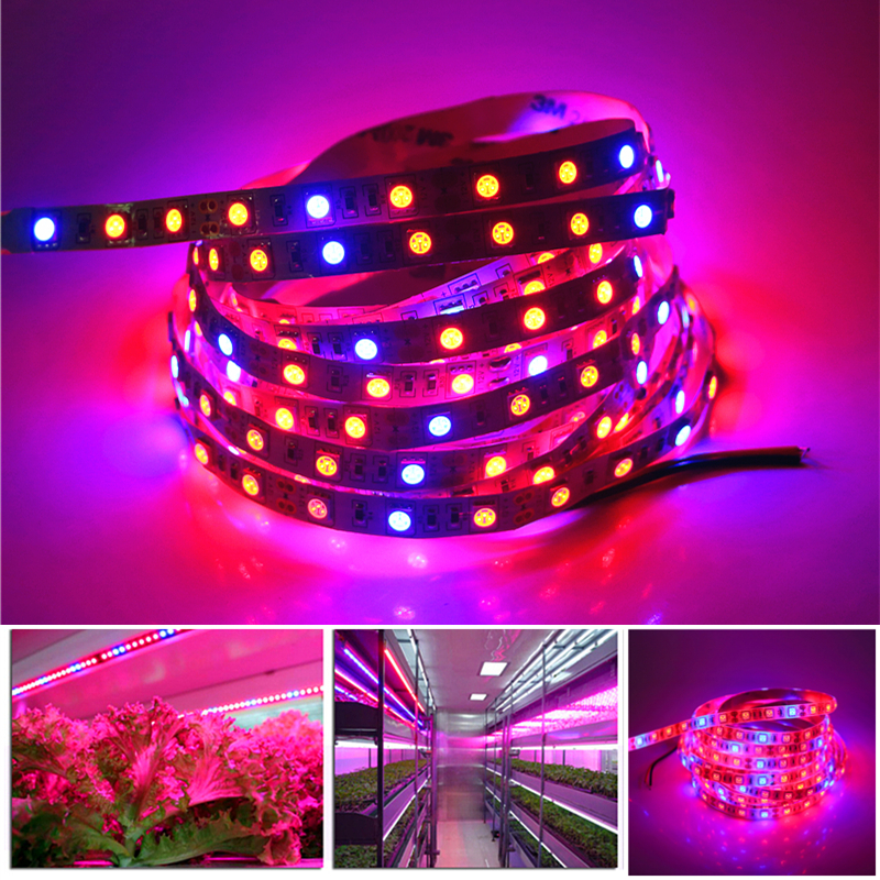 DC12V 4:1 Red: Blue smd 5050 full spectrum strip led brilliant flexible grow strip lighting
