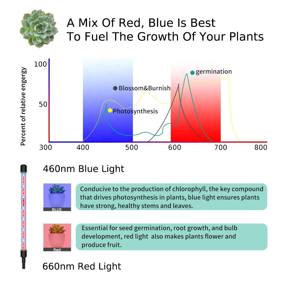 Led Grow Lights with 360 Degrees Flexible Lamp Holder Clip LED Plant Light for Indoor or Desktop Plants