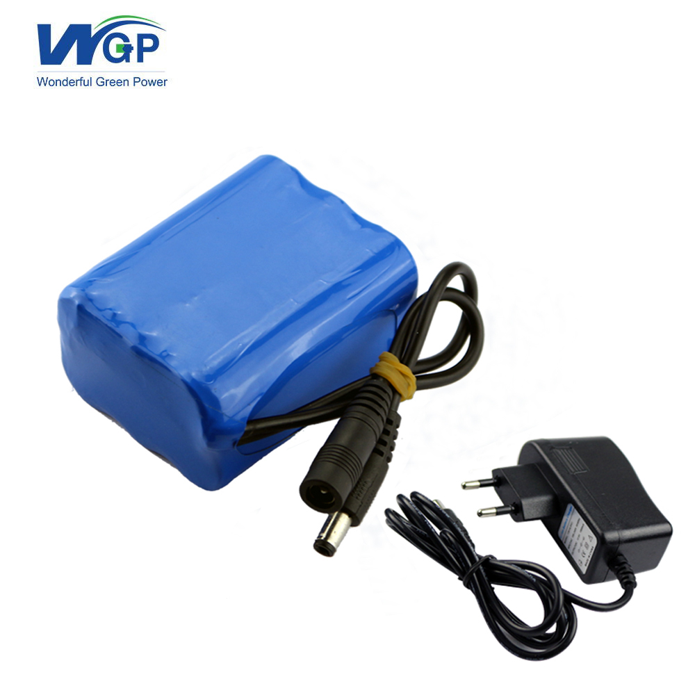 Original manufacturer rechargeable backup battery pack 12 volt lithium power pack