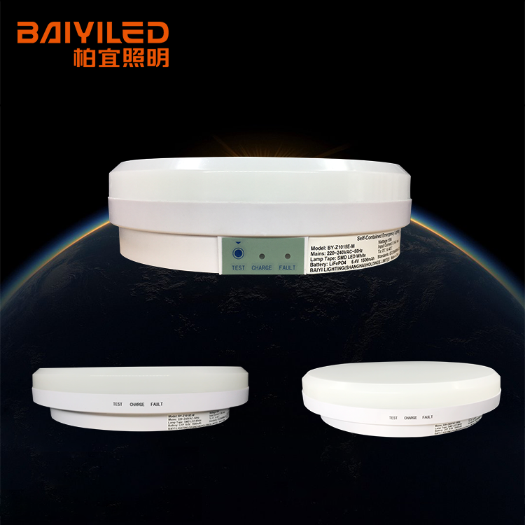 Ip65 Ce Led 2d Light Sensor Emergency Luminaire Bulkhead