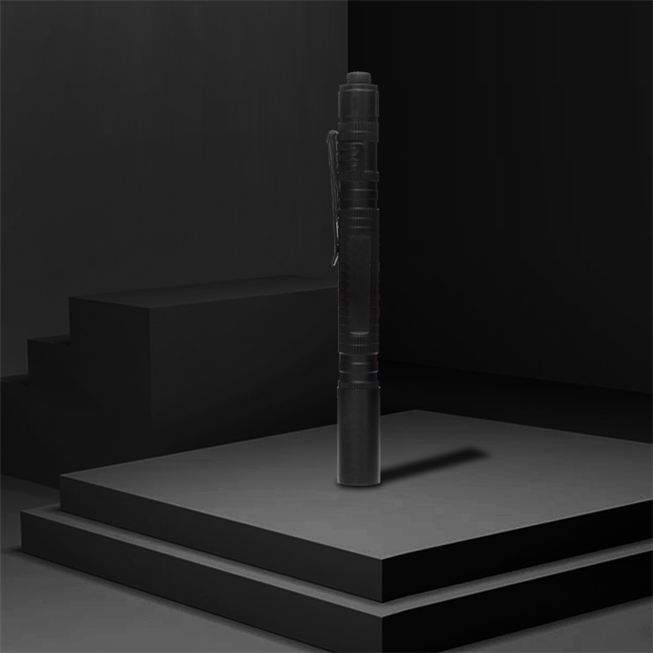 Fast Track Guangzhou Portable Doctor Torch Light