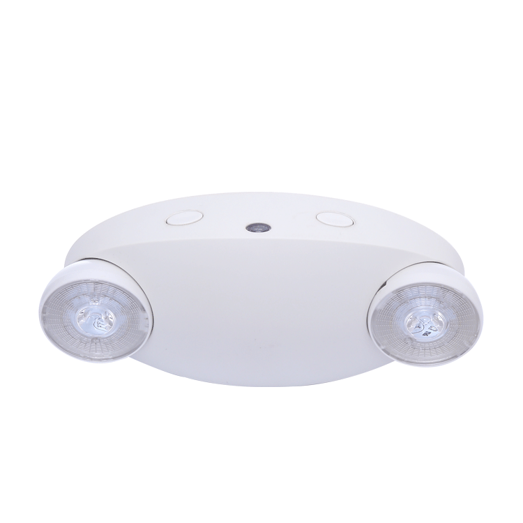 Self Contained Ceiling Mounted Rechargeable Led Spot Emergency Light Inverter