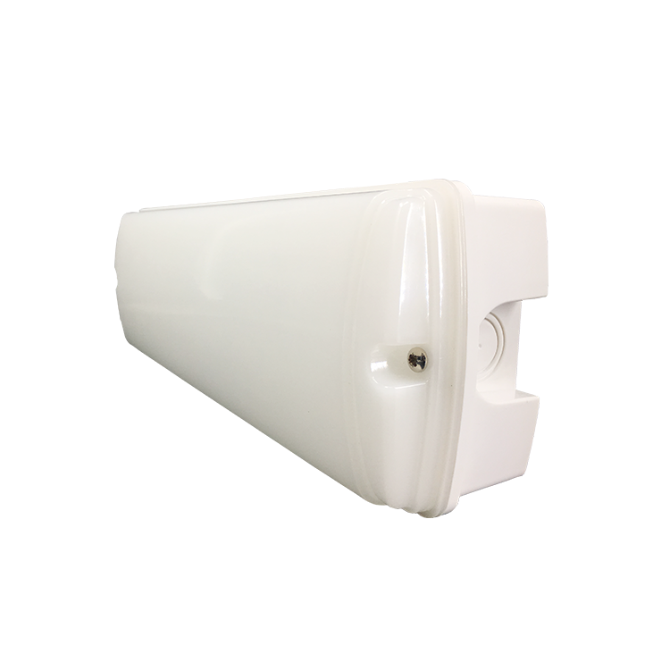 Lighting Outdoor Wall Lamp Emergency Led Ip65 Bulkhead Light