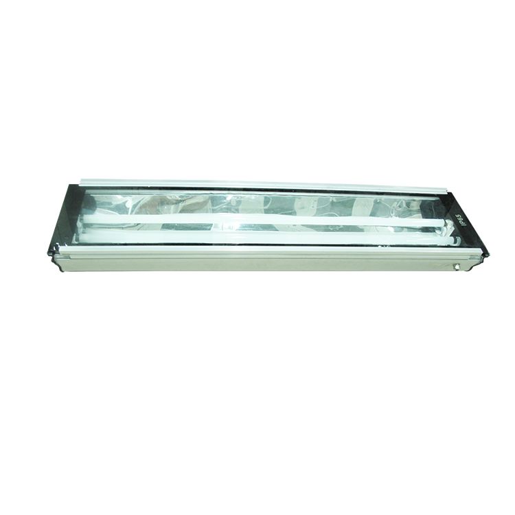 LUCKSTAR Grill lamp Emergency Fluorescent Ceiling Light