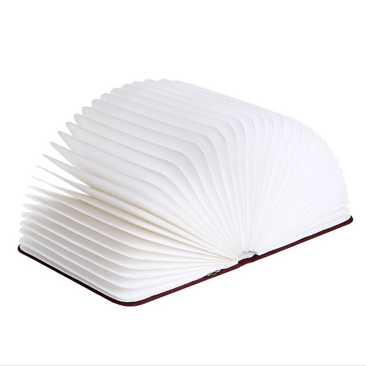 2019 New Products Lumio Rechargeable Led Book Reading Lamp