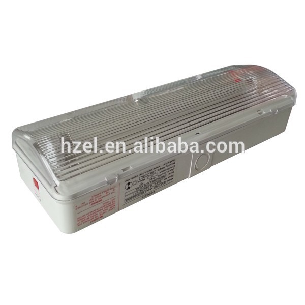 220V emergency fluorescent lights fixtures