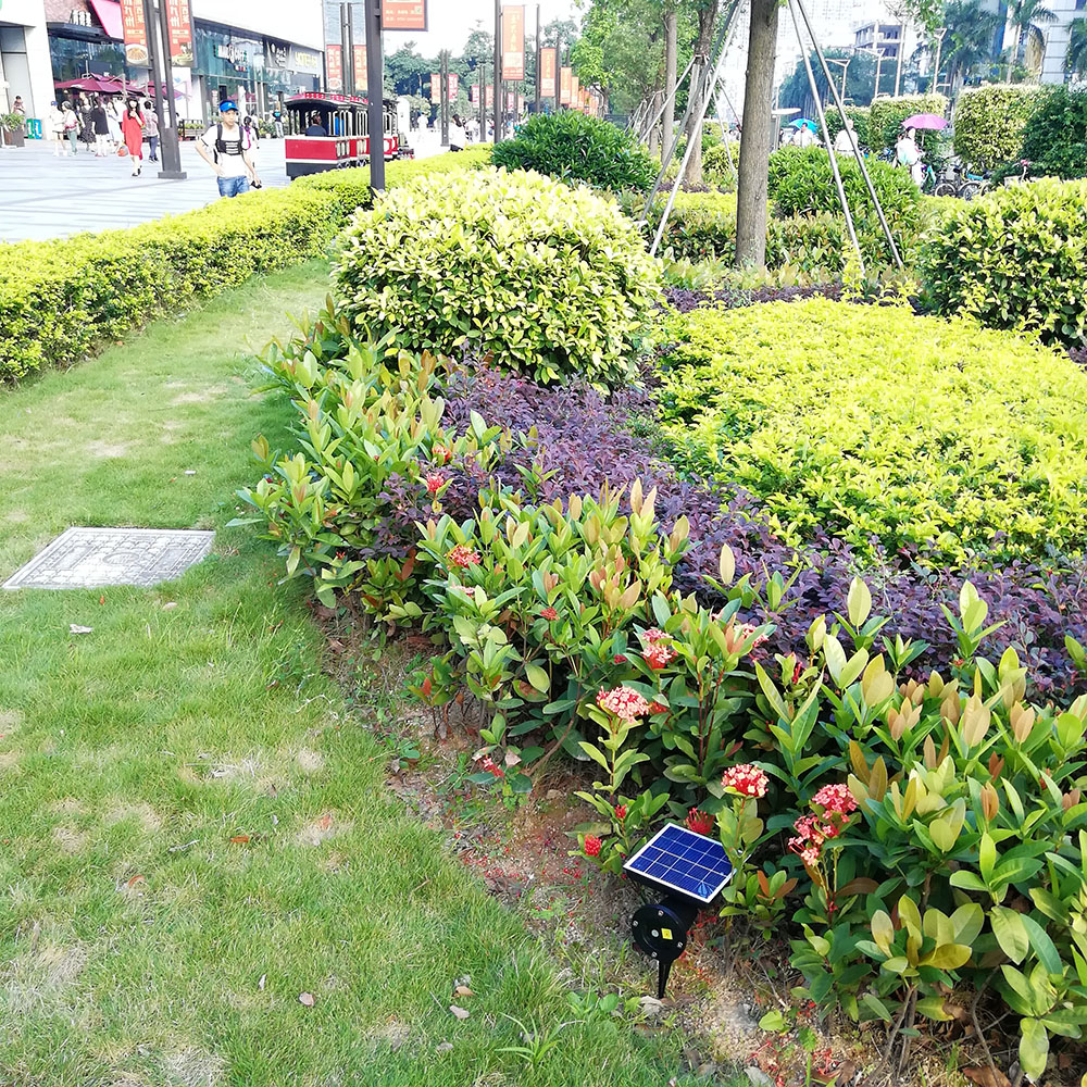 Customize star laser light solar powered laser christmas lights solar powered christmas laser projector light