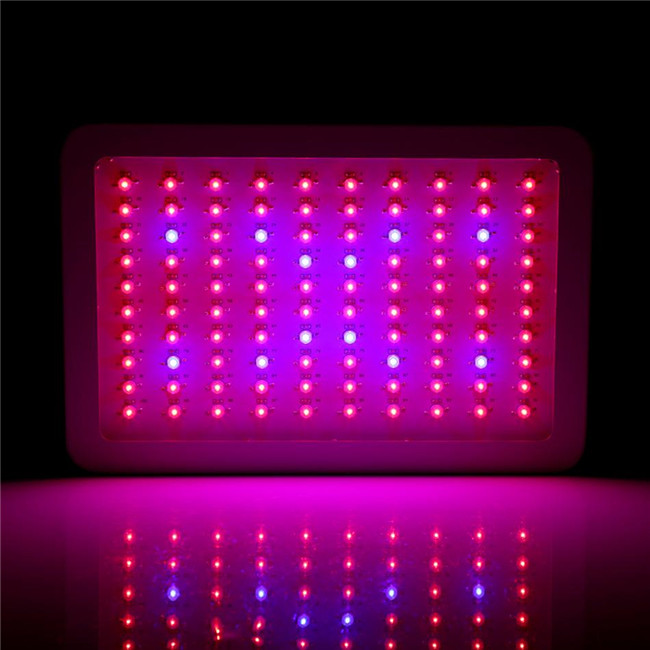 COB 300w 600w 800W 1000w 1200w 1500w 1800w 2000w plant Hydroponic Systems Full Spectrum Vertical Led Grow Light