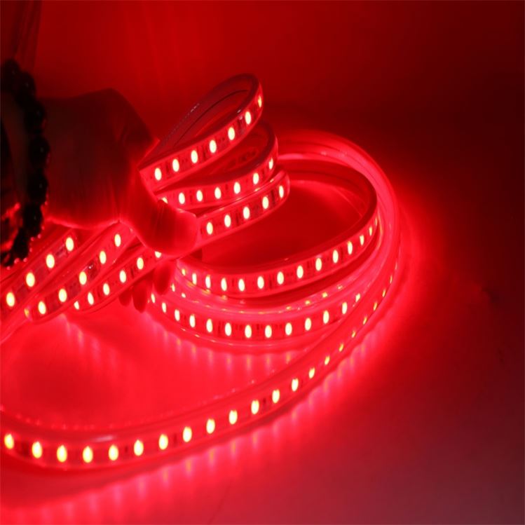 AC 220V SMD 5050 RGB 60D LED Strip Light Waterproof LED Tape Flexible LED Light strip