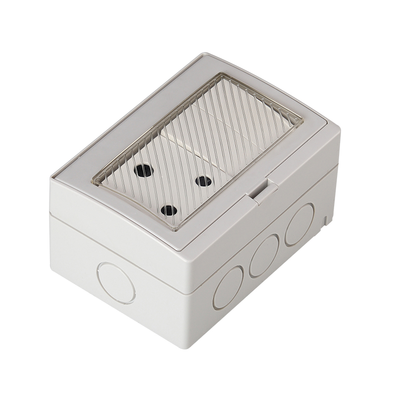 SAIP/SAIPWELL Household Item Two Gang Single Control Switch Electric Waterproof Switch And Socket