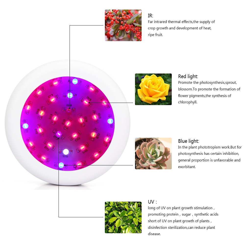 Full Spectrum Led Grow Light 300W 600W 900W Led Growing Lamp light for Flower Plant Hydroponics System aquarium Led lighting
