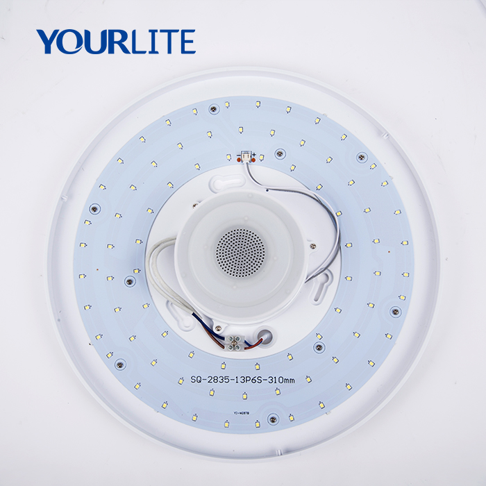 Bluetooth Music Rhythm RGB Color Changing Round LED Ceiling Light Fixture