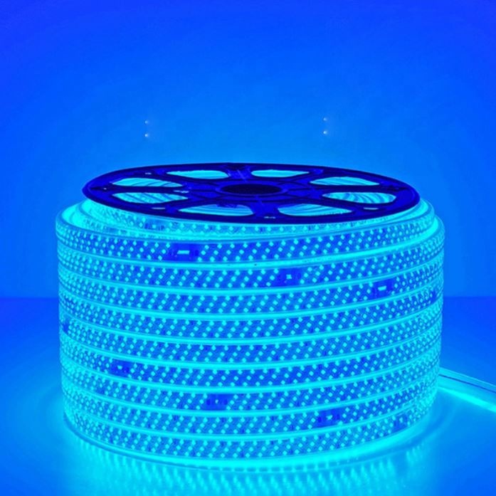 Shenzhen factory led LED high voltage Strip Light Waterproof LED Tape AC 220V 110V SMD2835 5050 Flexible LED Light strip