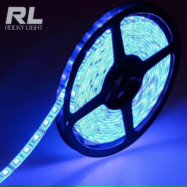 IP20/IP44 DC12V 24V SMD5050/2835 flexible led strip light red/green/blue