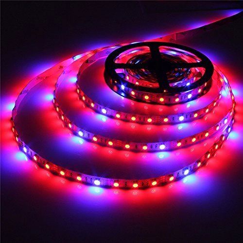 Grow lettuce and microgreens LED Grow Lights and Aquarium Lighting LED Grow Light Strip
