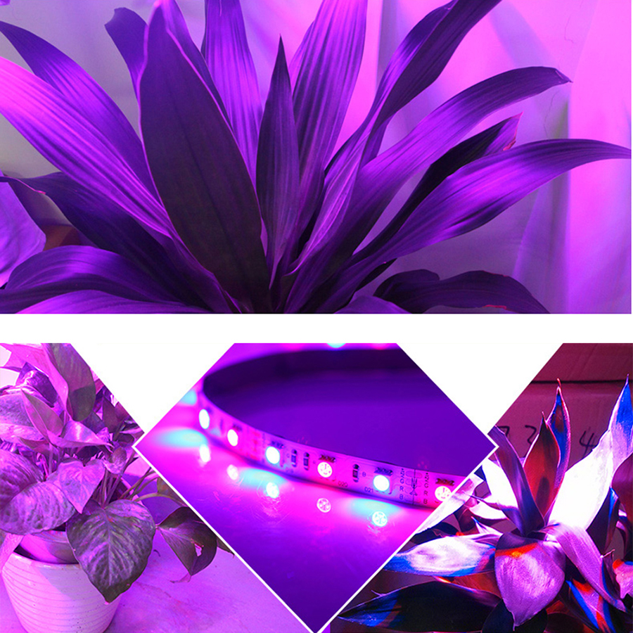 shenzhen Factory Wholesale Hydroponics Urban Vertical Farming Flower Fruit Plant Grow Led Strip Light high brightness 5 years