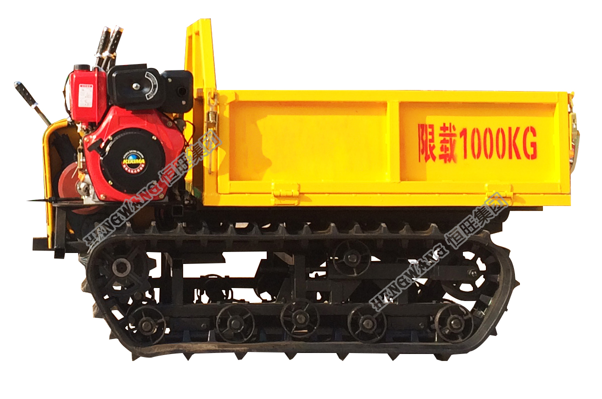 Walk-behind mini crawler dump truck with hydraulic system