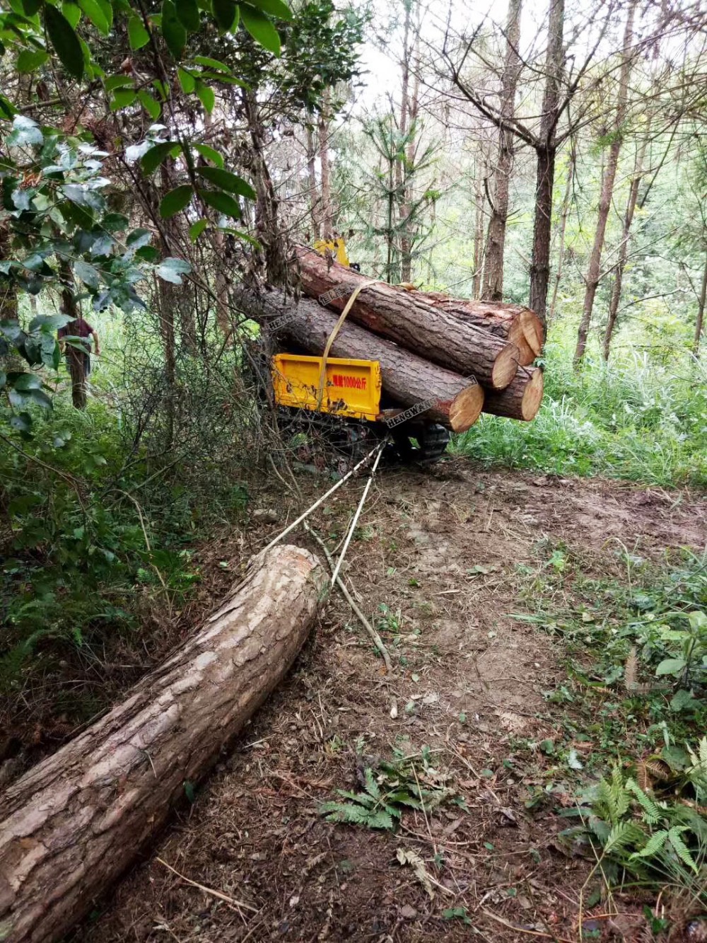 Mini Tracked Carrier Well-done in climbing mountain / Marsh/muddy road