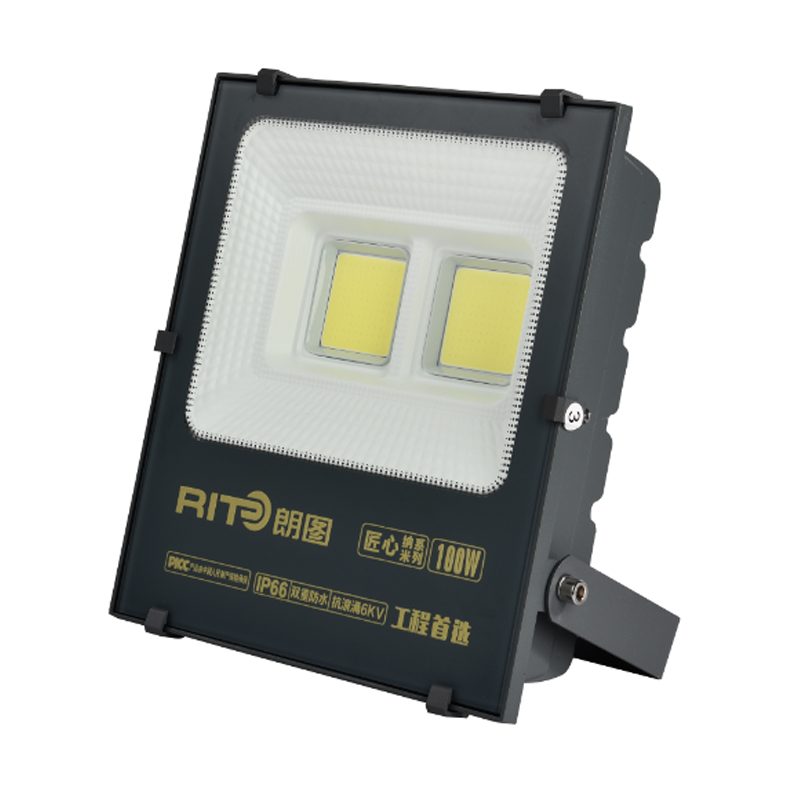 New Cob Led Flood Light Ip66 100w In Zhongshan Outdoor Led Spotlight