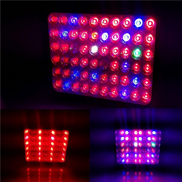 2019 Indoor LED Grow Light, 600 Watt Full Spectrum Plant Light with Switch, IR&UV Growing Lamp Kits for Greenhouse planting