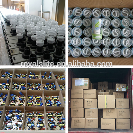 220 v Daylight 12 w 26 W 32 W CFL energy saving Bulb Lights