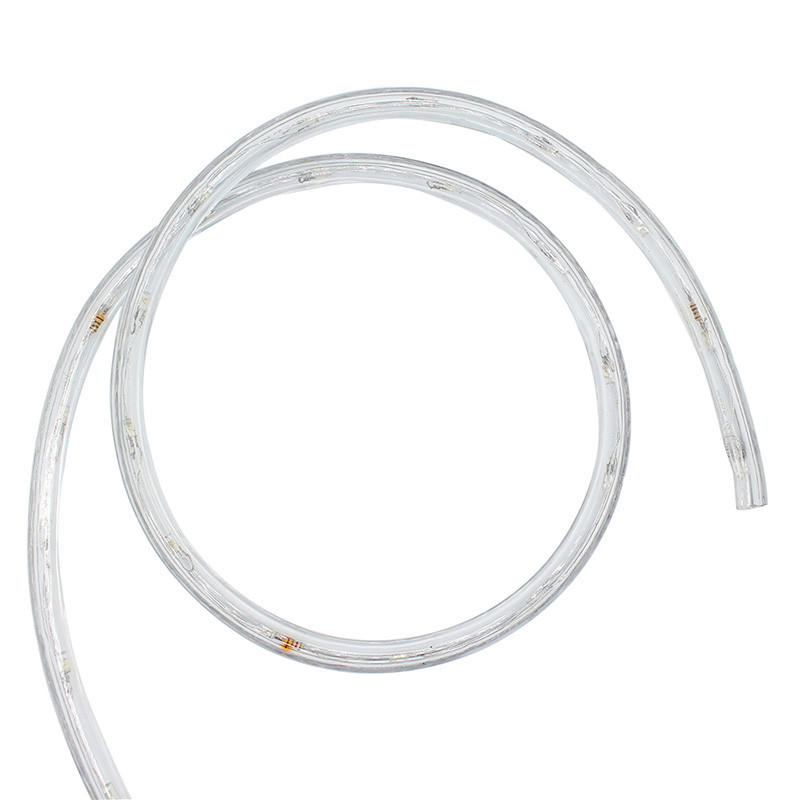 Waterproof IP65 220v flexible led strip lights magic dmx rgb 5050 smd led strip light