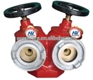 Dual valve dual outlet landing valve fire hydrant