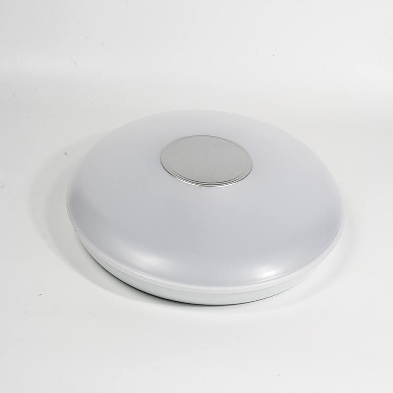 modern and simple design LED ceiling lamp, hot sale lamps in China