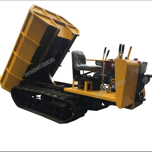 1T type Dumper Mini Transporter