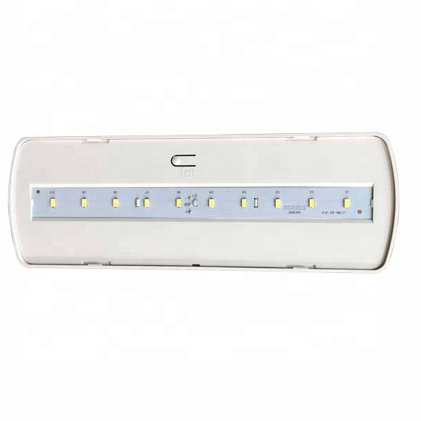 CE certification 5W Ceiling Emergency Light