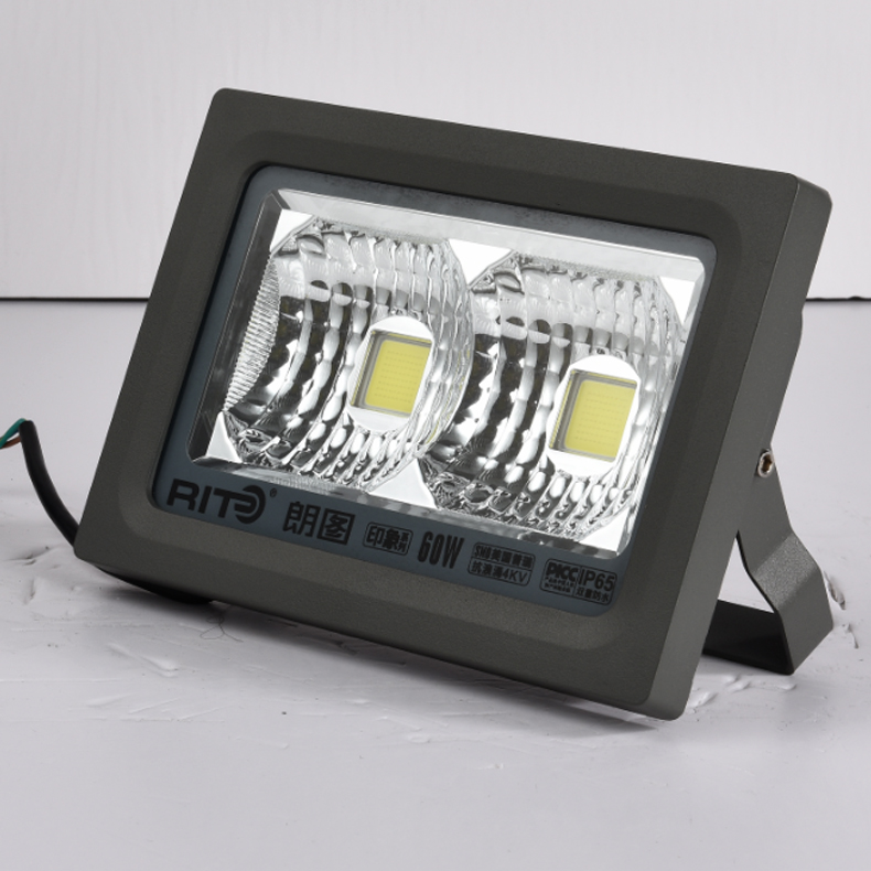 outdoor IP65 waterproof led small light led cob spotlight 60 watt led flood light